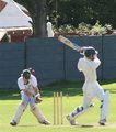 Ross McMillan swings and is bowled by John Denwood