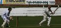 Paul Danson hits the ball throgh mid wicket